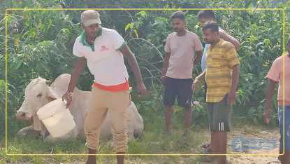 टिपरमा राखेर ल्याए, खोला किनारमा फ्याके : एक मृत, दुई घाइते